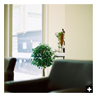 equal　店舗画像